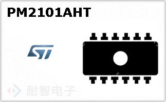 PM2101AHT