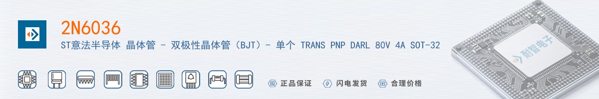 2N6036������