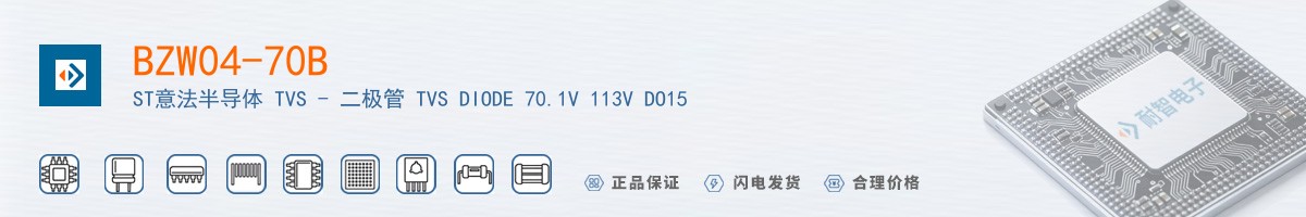 BZW04-70B������