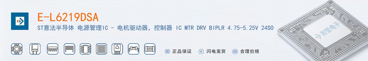 E-L6219DSA������