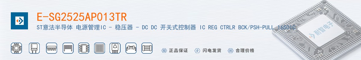 E-SG2525AP013TR������