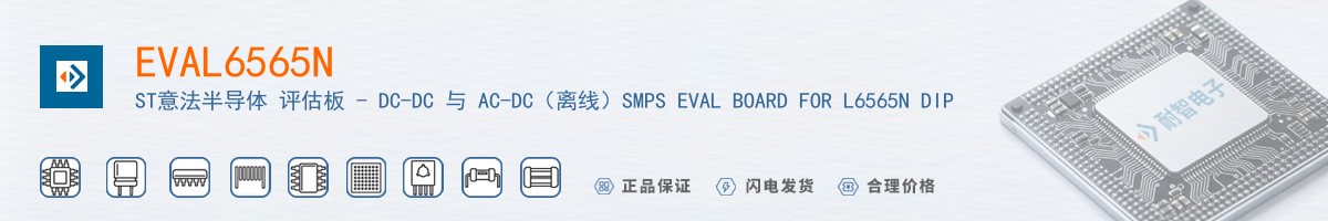 EVAL6565N������