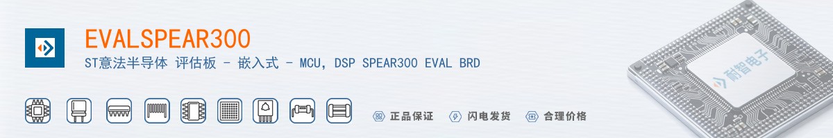 EVALSPEAR300������