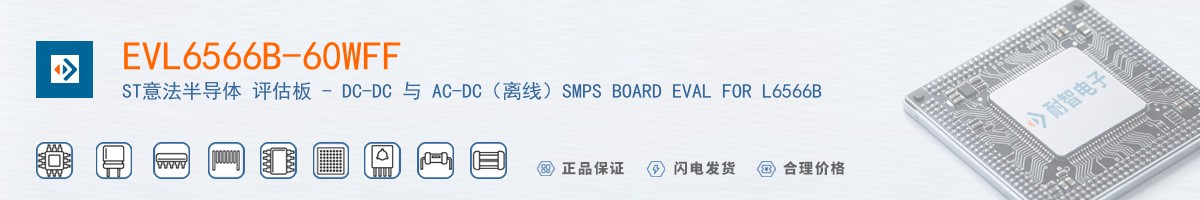 EVL6566B-60WFF������