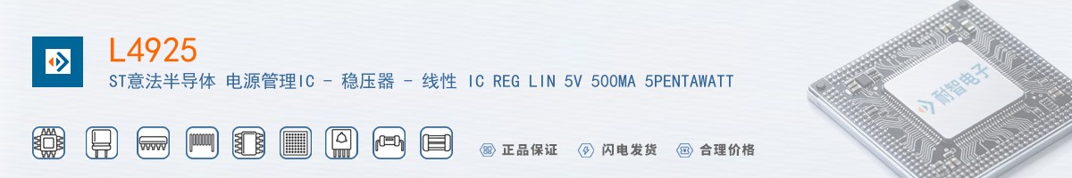 L4925������