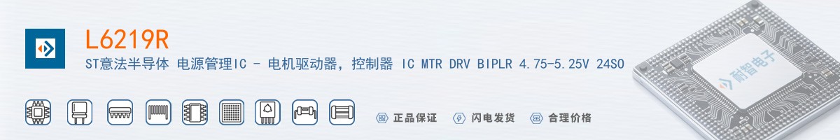 L6219R������