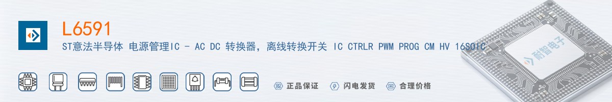 L6591������