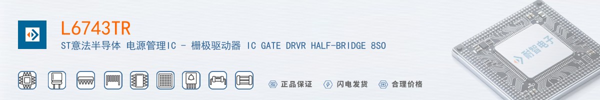 L6743TR������