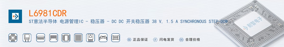 L6981CDR������