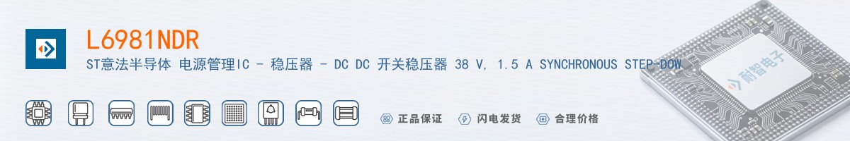 L6981NDR������