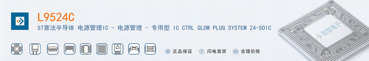 L9524C������