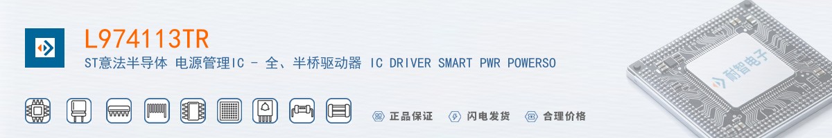 L974113TR������