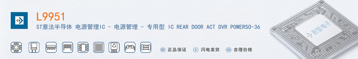 L9951������