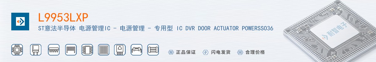 L9953LXP������