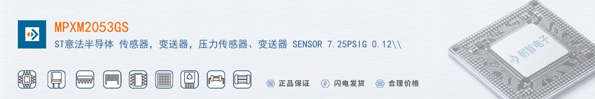 MPXM2053GS������
