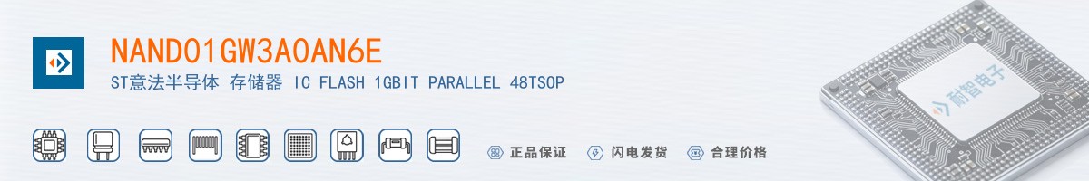 NAND01GW3A0AN6E������