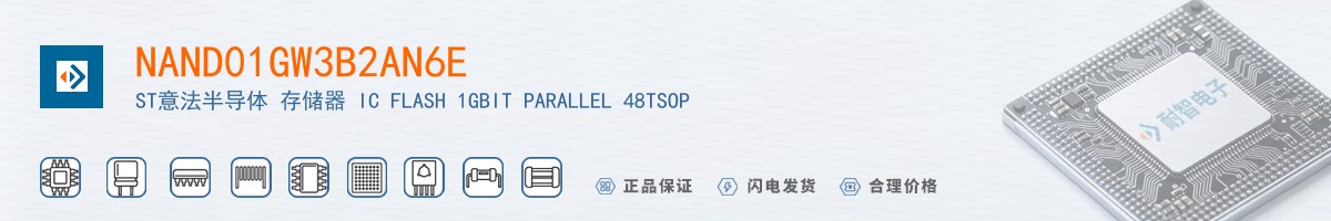 NAND01GW3B2AN6E������