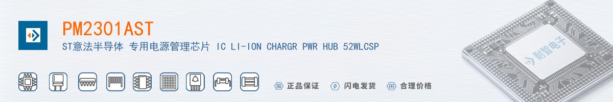 PM2301AST������