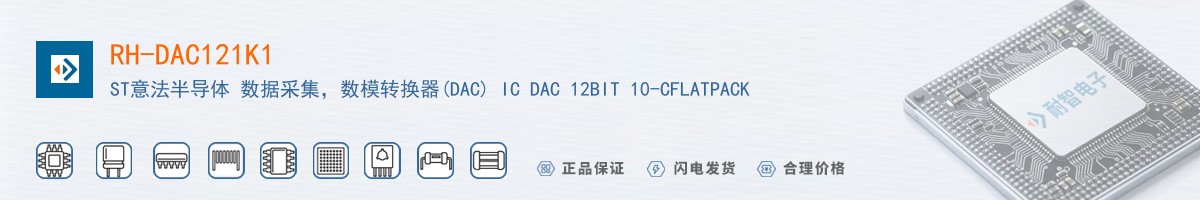 RH-DAC121K1������