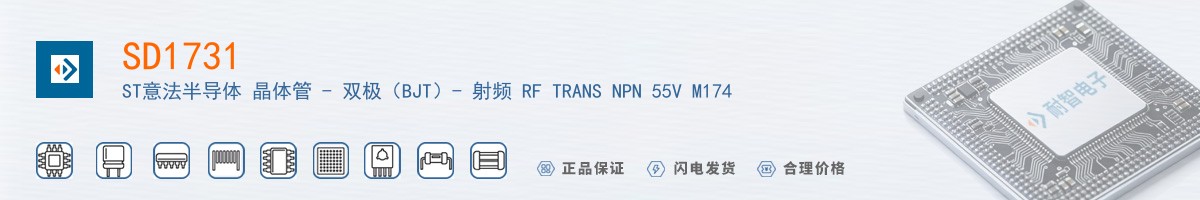 SD1731������