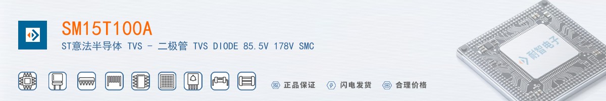 SM15T100A������