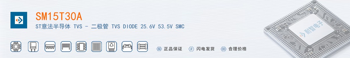 SM15T30A������