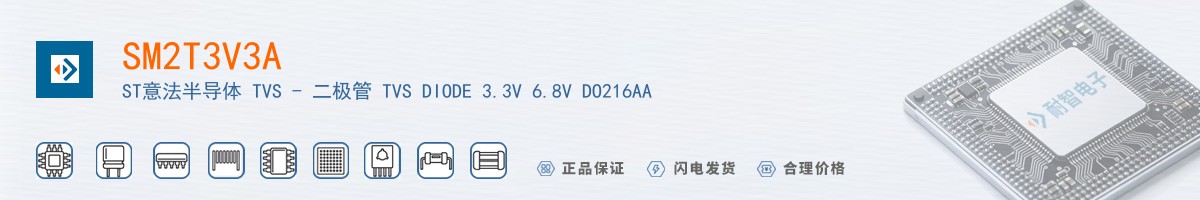 SM2T3V3A������