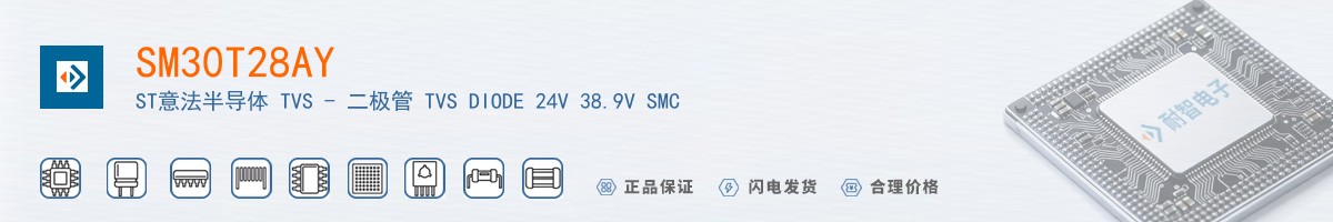 SM30T28AY������