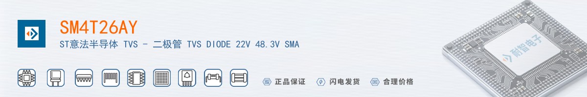 SM4T26AY������