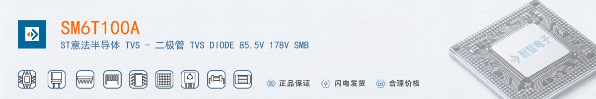 SM6T100A������