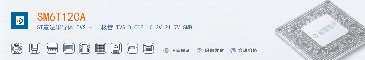 SM6T12CA������