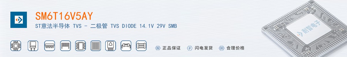 SM6T16V5AY������