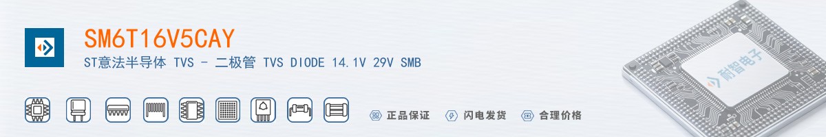 SM6T16V5CAY������