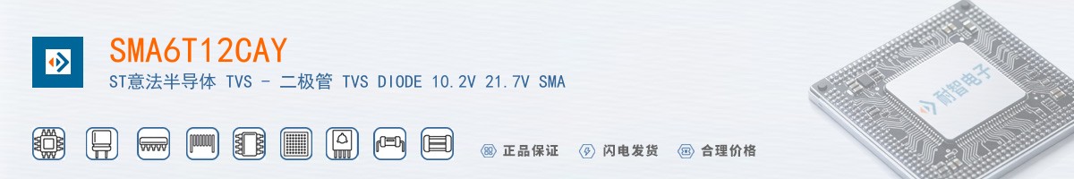 SMA6T12CAY������