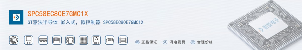 SPC58EC80E7GMC1X������