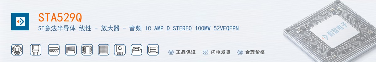 STA529Q������