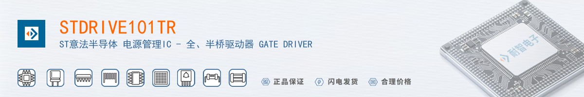 STDRIVE101TR������