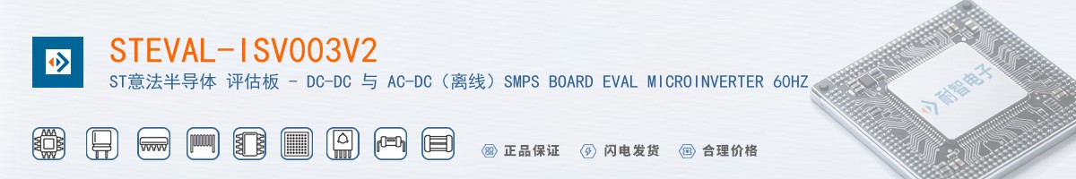 STEVAL-ISV003V2������