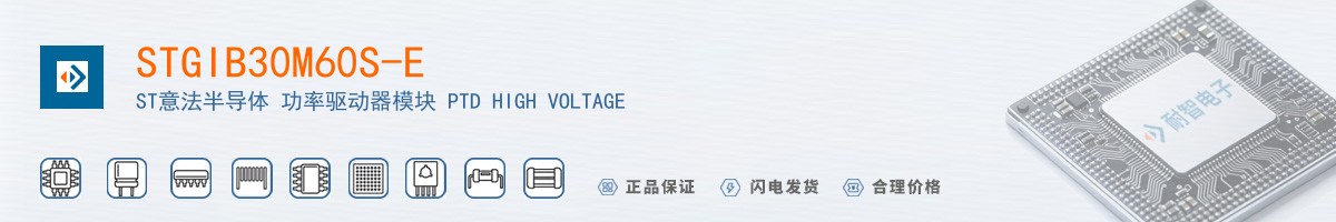 STGIB30M60S-E������