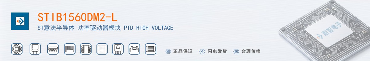 STIB1560DM2-L������