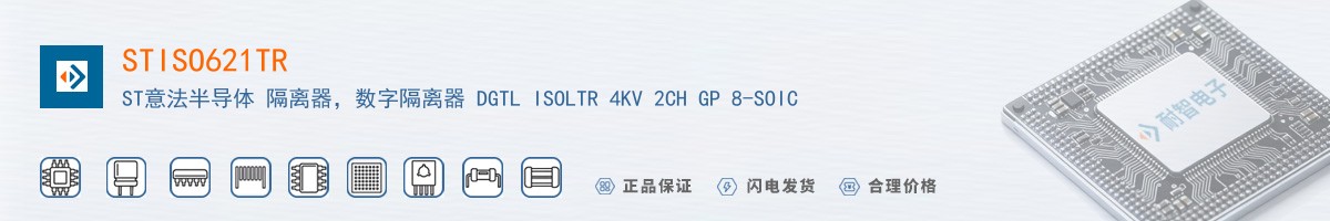 STISO621TR������