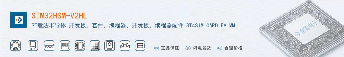 STM32HSM-V2HL������