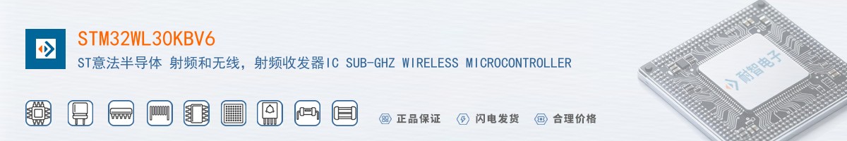 STM32WL30KBV6������