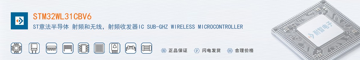 STM32WL31CBV6������