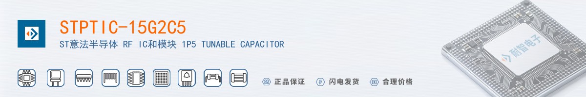 STPTIC-15G2C5������