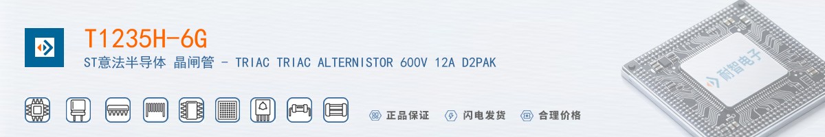 T1235H-6G������