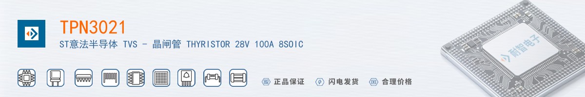 TPN3021������