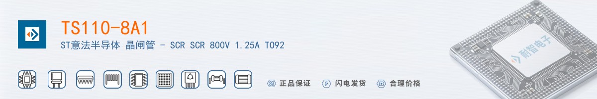 TS110-8A1������