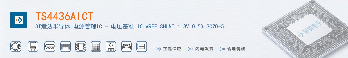 TS4436AICT������