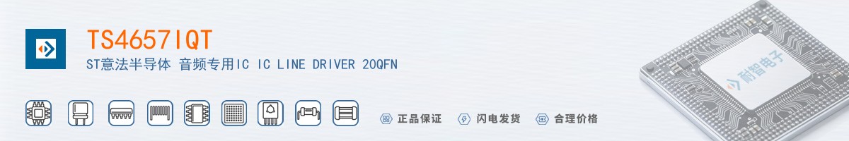 TS4657IQT������